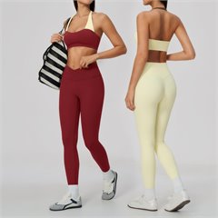 AYM044259 Color-Block Yoga Bra Set Quick Dry Breathable Aoyema wholesale