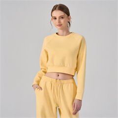 AYM044406 Cropped Hoodless Sweatshirt Long Sleeve Loose Fitness Set Aoyema wholesale